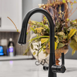 4N1 Instant Hot Water System with Leak Detector black faucet in kitchen