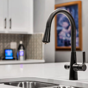 4N1 Instant Hot Water System with Leak Detector classic black faucet in kitchen