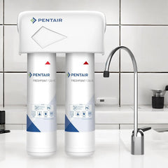 Pentair FreshPoint FDF1 Ersatzkartusche – Kohle/Sediment-Filter Für Untertisch-Wasserfilter (750 Liter Kapazität)